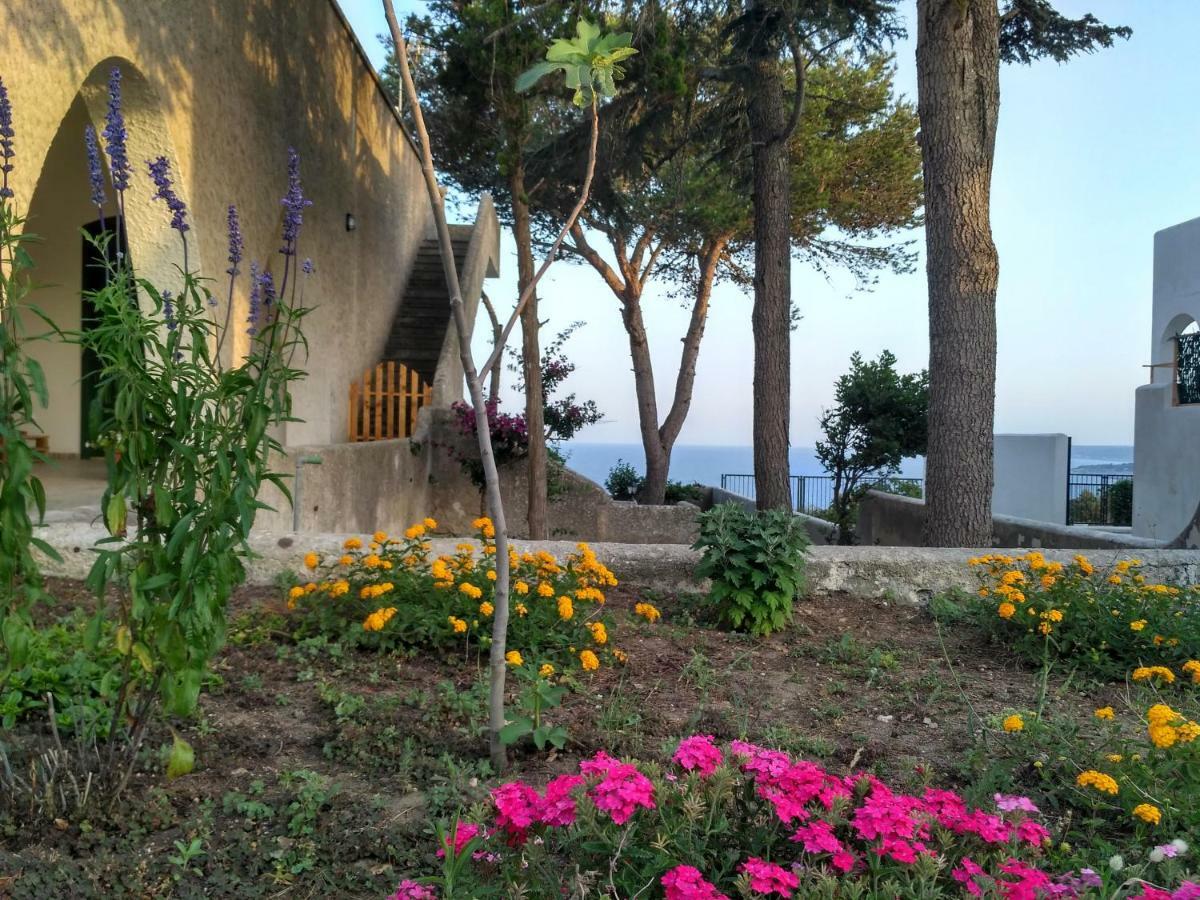 Villa Alda - Bilocali Vista Mare Santa Cesarea Terme Exteriör bild