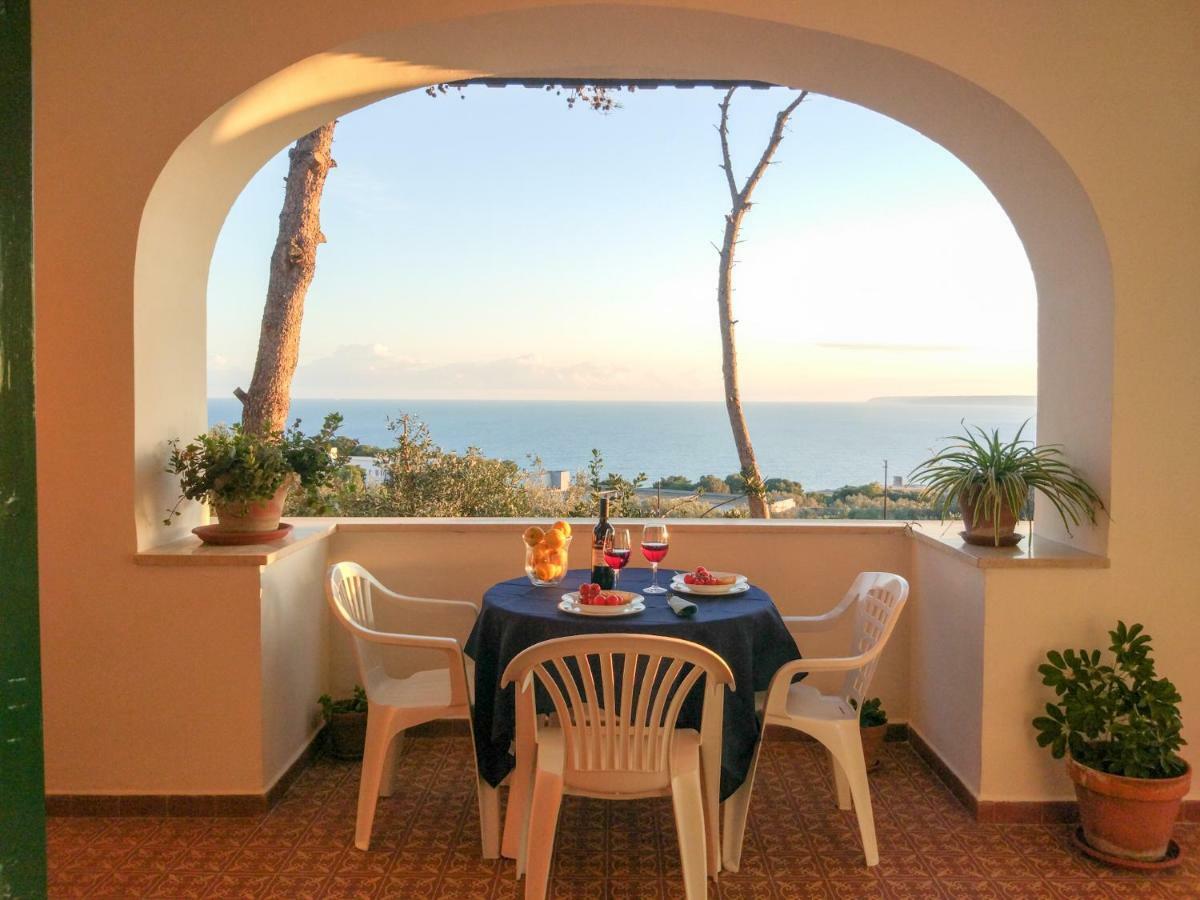 Villa Alda - Bilocali Vista Mare Santa Cesarea Terme Exteriör bild