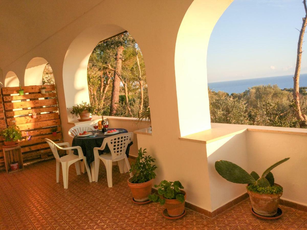Villa Alda - Bilocali Vista Mare Santa Cesarea Terme Exteriör bild